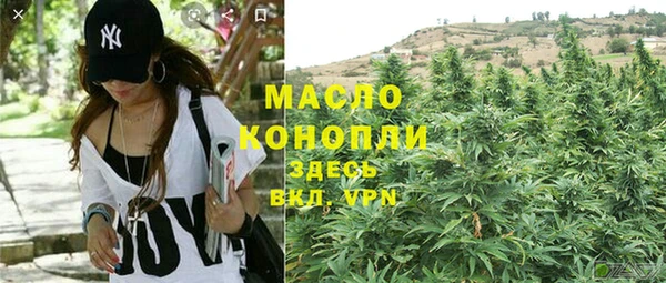 дмт Краснослободск