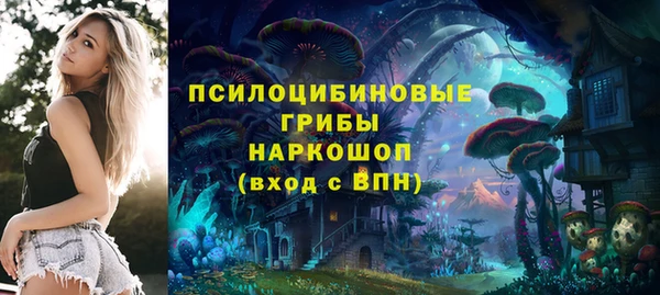 дмт Краснослободск