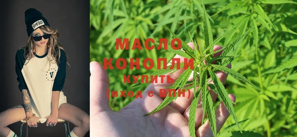 дмт Краснослободск