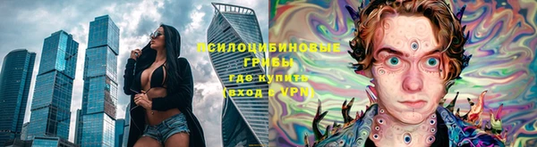 дмт Краснослободск