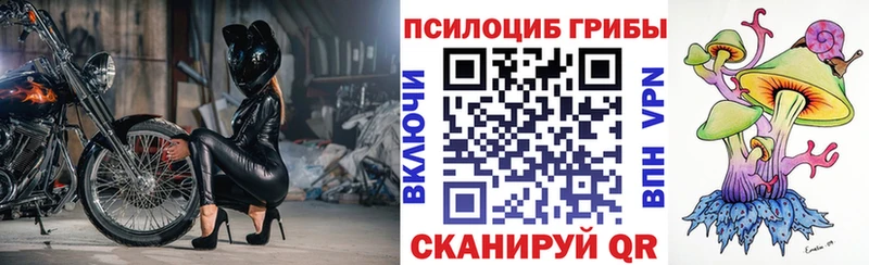Купить закладки  Касимов  Галлюциногенные грибы прущие грибы 